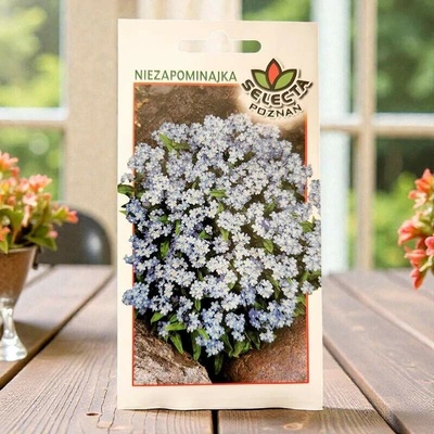 Nezábudka lesná semienka Myosotis sylvatica
