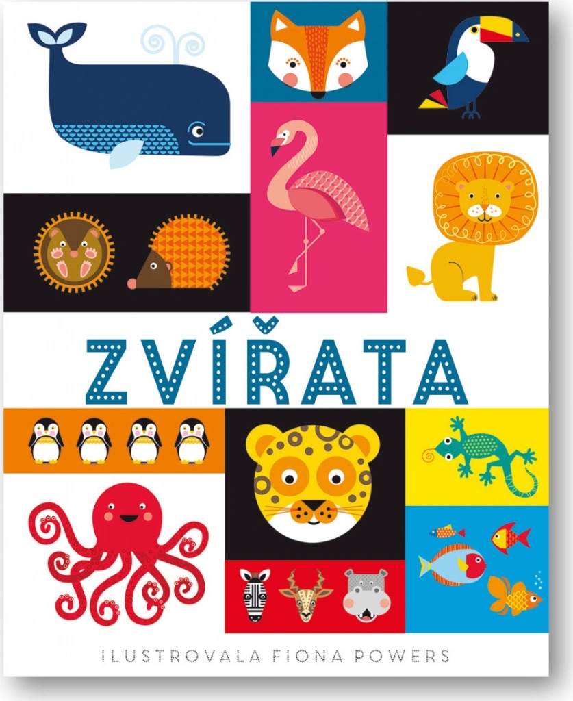 Zvířata