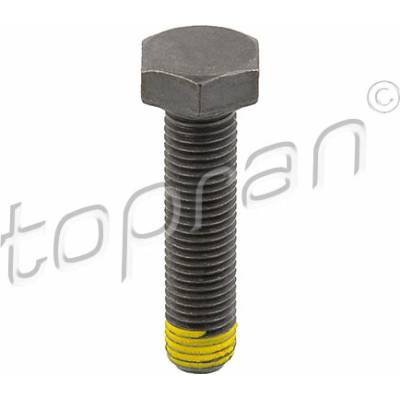 TOPRAN Skrutka zotrvačníka 502 756