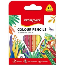 Keyroad 954674 12 ks