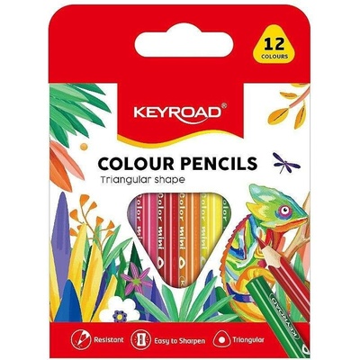 Keyroad 954674 12 ks