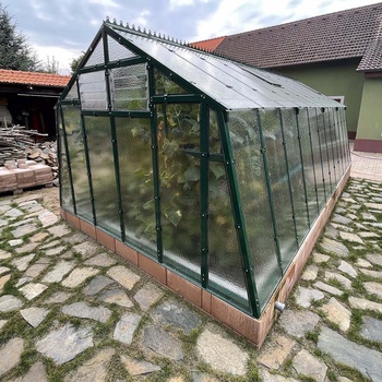 Limes Primus L L 4,5