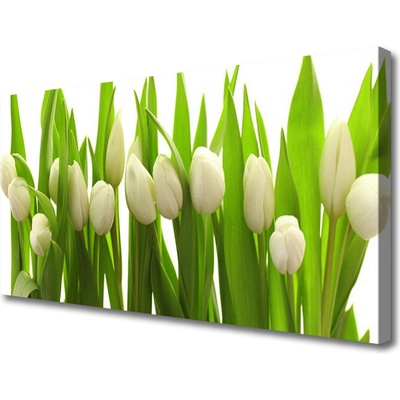 Obraz na plátne Tulipány kvety rastlina 100x50 cm
