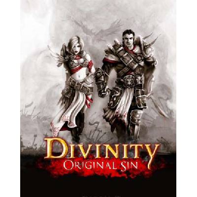 Divinity Original Sin