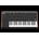 Moog SUB 37