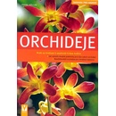 Orchideje