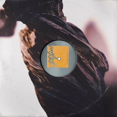 Pixies: The Night the Zombies Came LP