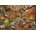 Bluebird Puzzle - Puzzle Adirondack Porch 1000 II - 1 000 piese