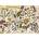 Trefl - Puzzle Herbarium: Medicinal herbs - 500 piese