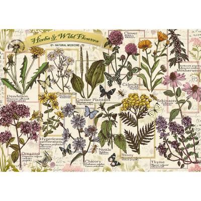 Trefl - Puzzle Herbarium: Medicinal herbs - 500 piese