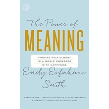 Power Of Meaning