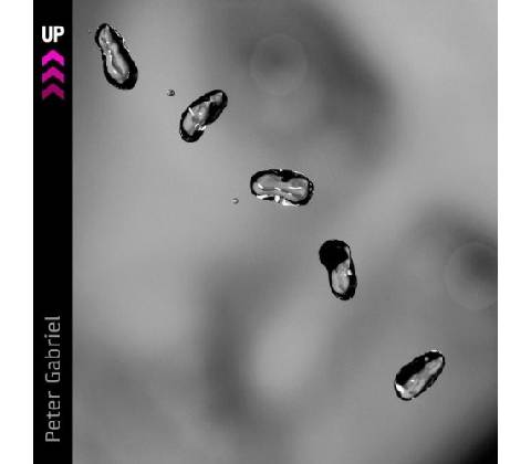 GABRIEL PETER: UP CD