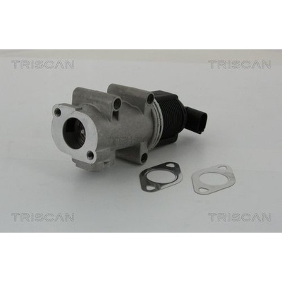 AGR-Ventil TRISCAN 8813 10005