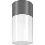 Maytoni Willis O418CL-01GR