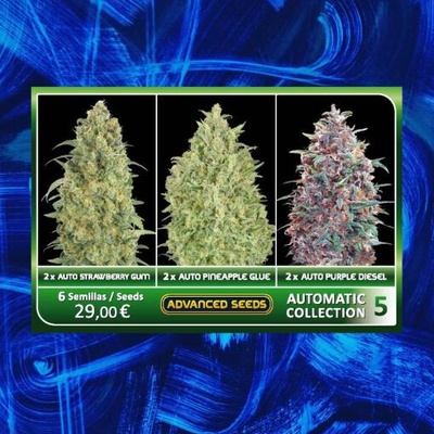 Advanced Seeds Feminized Collection #5 semienka neobsahujú THC 6 ks