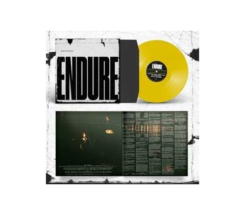 SPECIAL INTEREST - ENDURE LP