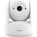 D-Link DCS-6100LHV2