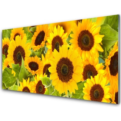 Obraz na skle Slunečnice 100x50 cm