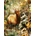 Norimpex - Puzzle Diamant painting: The call of the forest 30x40cm - 1 - 39 piese