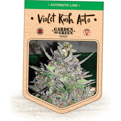 Garden Of Green Seedbank Violet Kush Auto semienka neobsahujú THC 15 ks