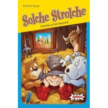 Amigo Verlag Solche Strolche | Reinhard Staupe