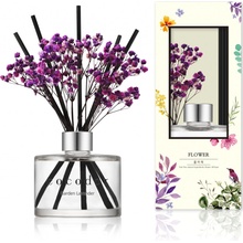 Cocodor aroma difuzér s tyčinkami a květinami Garden Lavender 120 ml