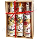 Šťavy a sirupy Kitl Syrob Citrus Grep Citron Pomaranč 3 x 0,5 l