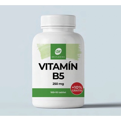 Dr.fleming Vitamin B5 250mg +10% gratis 110 ks