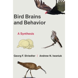 Bird Brains and Behavior | Georg Striedter, Andrew Iwaniuk (2025)