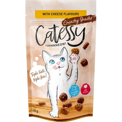 Catessy tri druhy syra 5 x 65 g