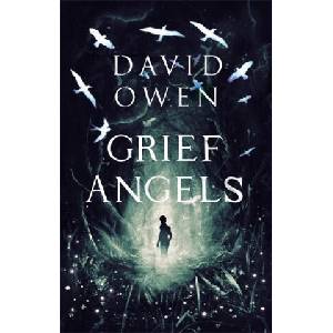 Grief Angels | David Owen (ISBN: 9780349003429)