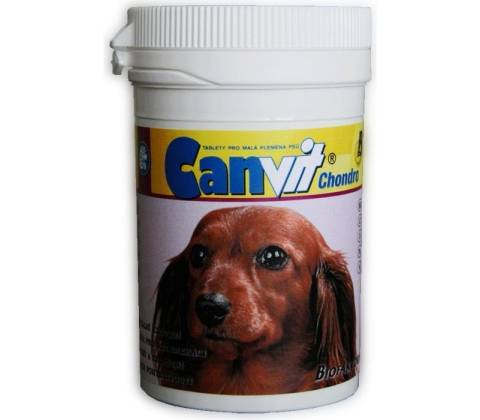 Canvit Chondro 100 g