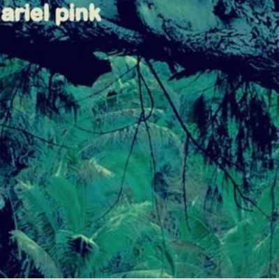 Odditties Sodomies Ariel Pink's Haunted Graffiti LP