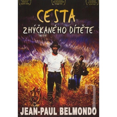 Cesta rozmaznaného dieťaťa (papierový obal)