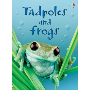 Tadpoles and Frogs | Anna Milbourne (ISBN: 9780746074558)