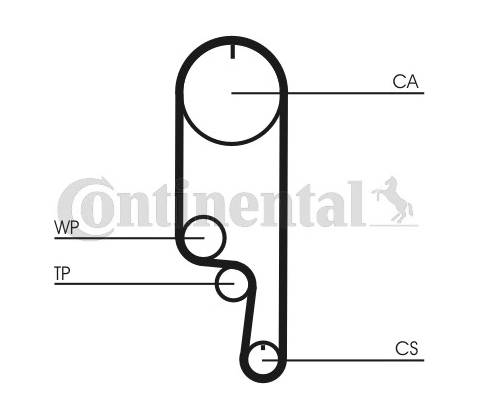 CONTITECH CT1008WP2