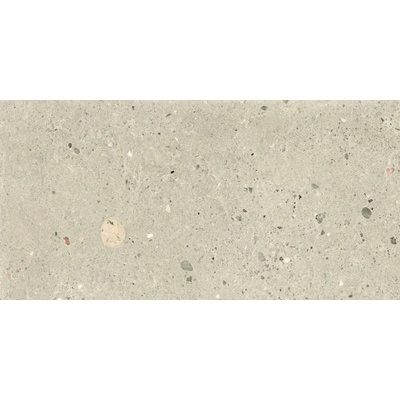 Provenza Alter Ego Sabbia 30 x 60 cm EGP5 1,08m²