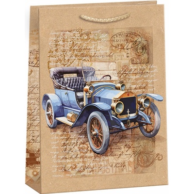 ARGUS Dárková papírová taška (23.3 x 31.3 cm) 07540145 – Zbozi.Blesk.cz