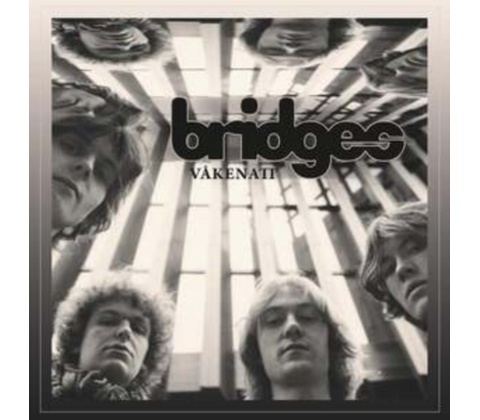 Bridges: Vakenatt CD