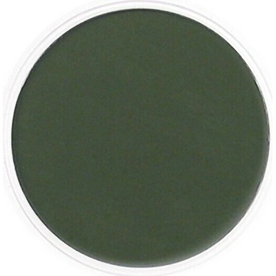 PanPastel suchý pastel 660.1 Chrom oxide green extra dark