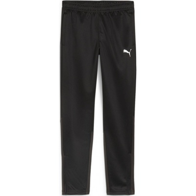 Puma teamGOAL training Pant Jr 658641 03
