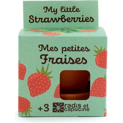Radis et Capucine Забавна градина - БИО Ягоди (027913)