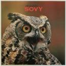 Sovy