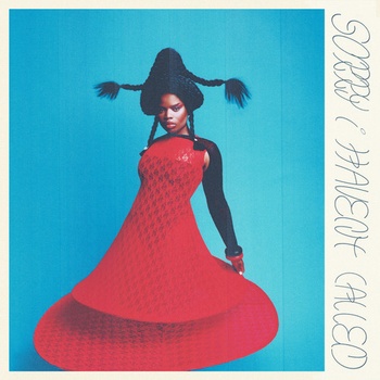 VAGABON - SORRY I HAVEN\'T CALLED CD