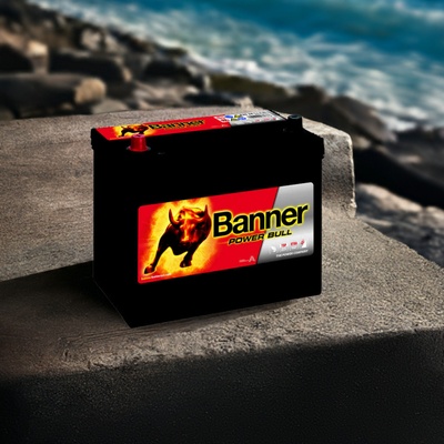 Banner Power Bull 12V 45Ah 390A P45 24