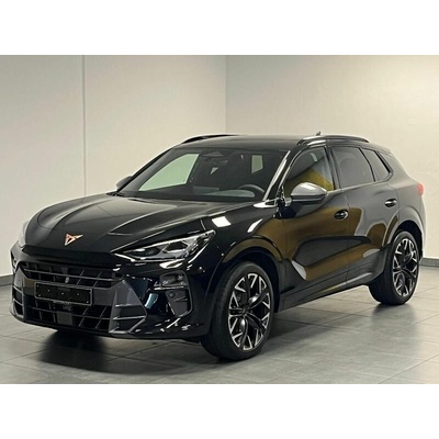 Cupra Terramar 2.0 TSI VZ DSG 195 kW
