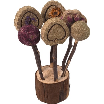 Small Animal okusovacie drievka 7,6 cm