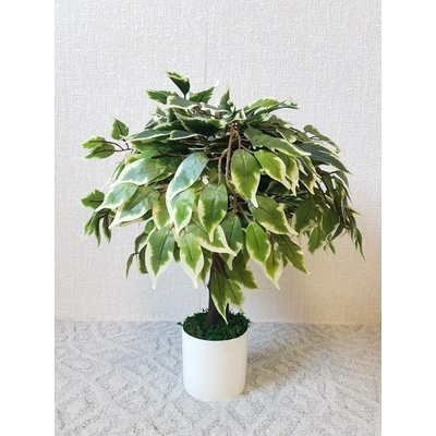 Umělý strom- Fíkus panašovaný 50 cm