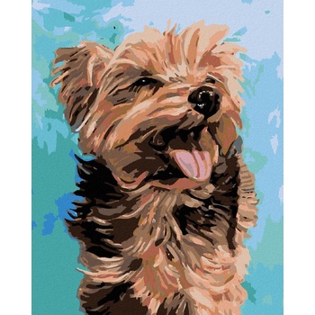 ZUTY Maľovanie podľa čísel VESELÝ YORKSHIRE