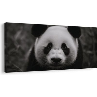 Obraz černobílá panda s úsměvem - 80x40